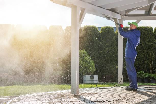 Best Sidewalk and Walkway Cleaning  in Sidy, NE